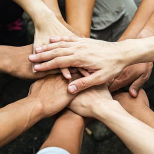 Team Build 3 Team Build 3